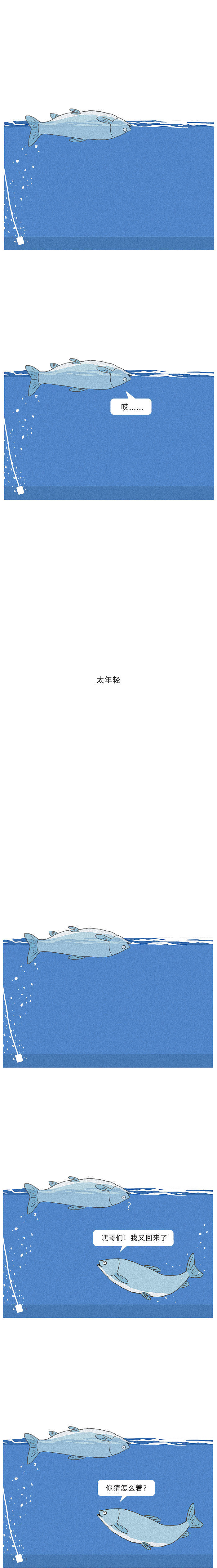 餐厅的鱼 第 3 张